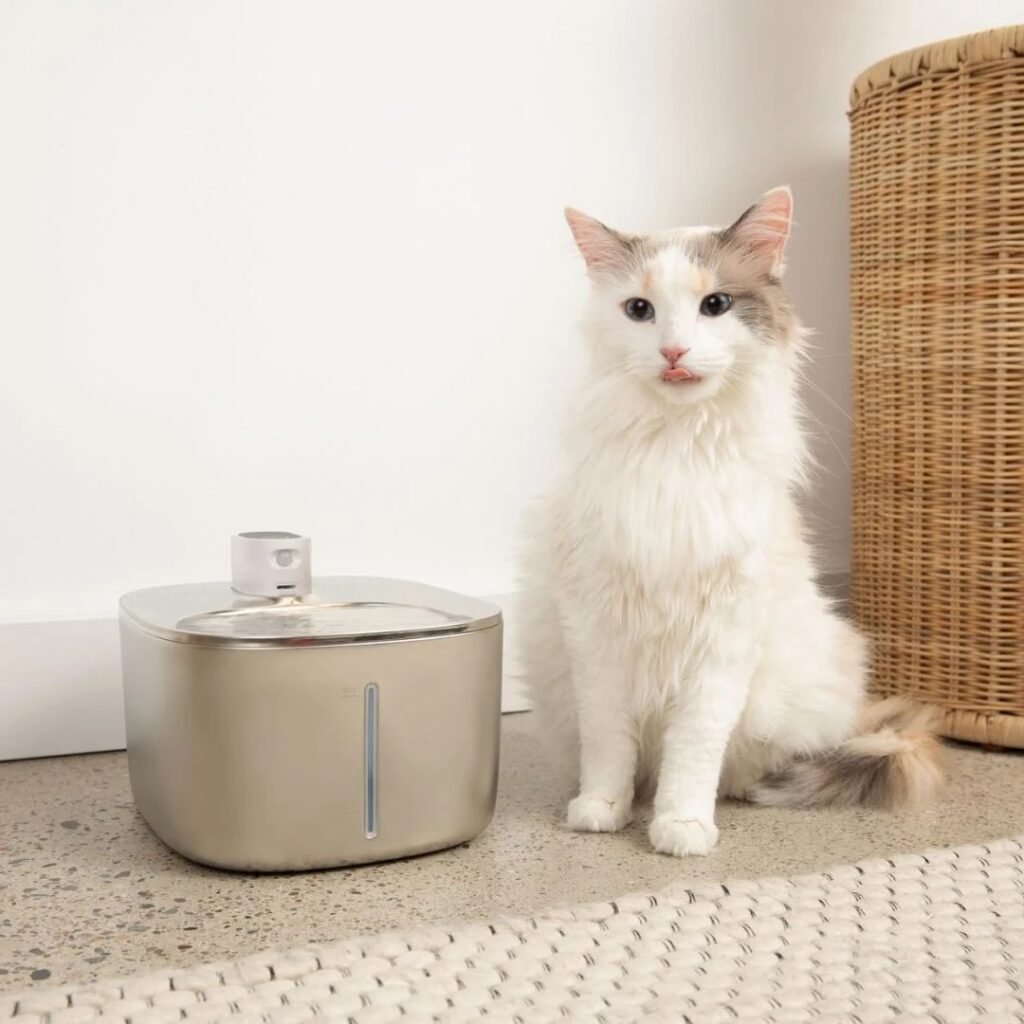 KittySpout Review - Stainless Steel Cat Water Fountain